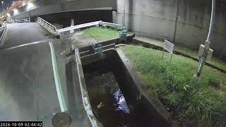 香芝市 竹田川 のライブ映像