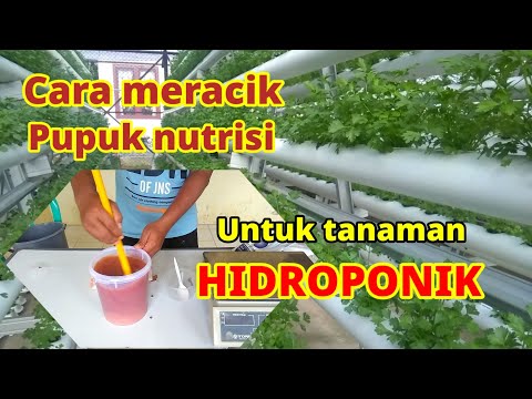 Video: Manfaat Nutrisi Terpisah