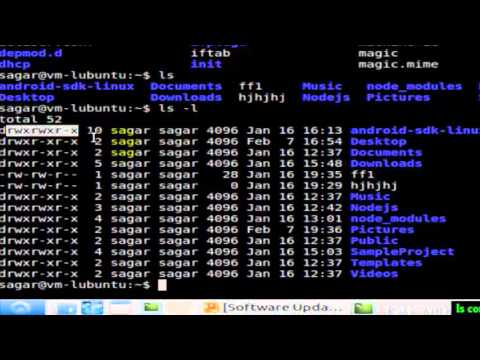 ls command in Linux Shell terminal
