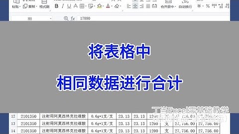 WPS Excel：将表格中相同数据进行合计。#wps #excel #办公技巧