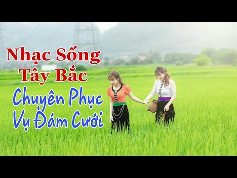 Video Nhạc sống chuyên phục vụ đám cưới - Mẫu đẹp Phù Yên - youtube