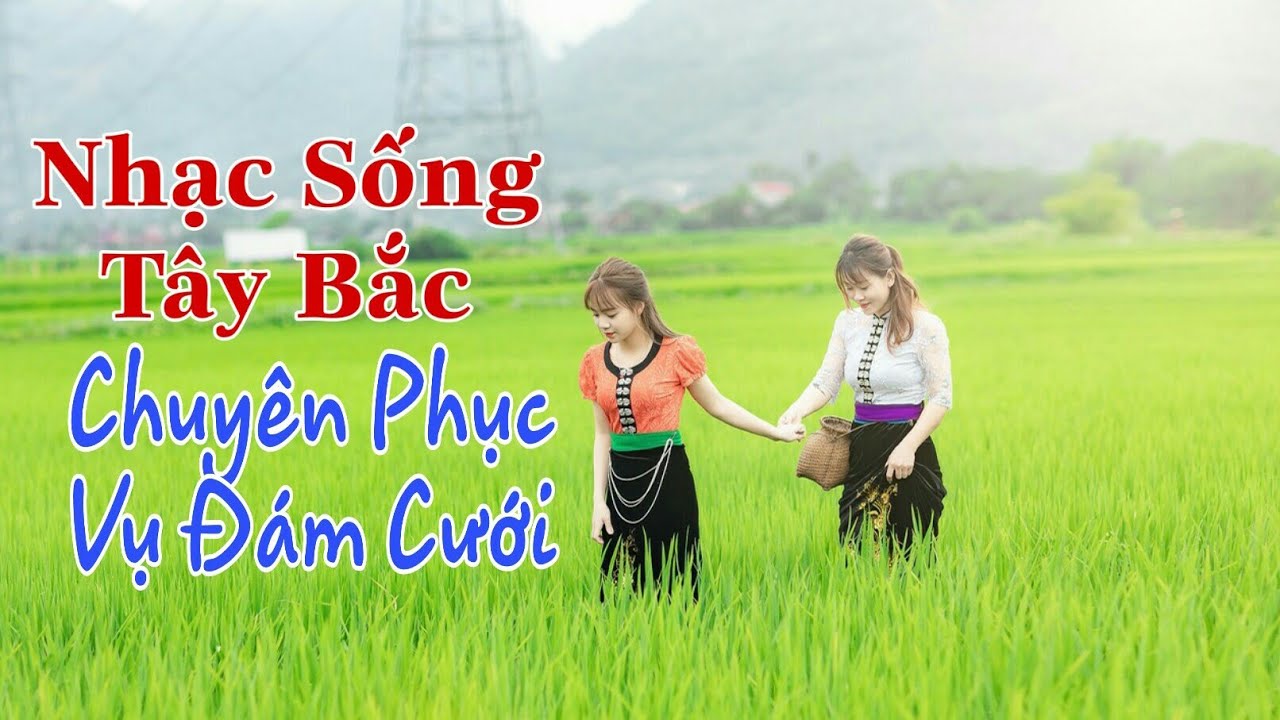 Nhạc sống chuyên phục vụ đám cưới -  Mẫu đẹp Phù Yên