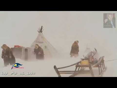 فراسة سكان المناطق الباردة أكاديمية علم الفراسة الحديثة 