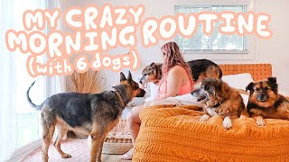 my crazy morning routine with 6 dogs