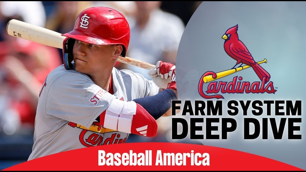 Подробный анализ лучших перспективных игроков «Кардиналс»