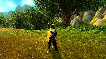 MoP Beta: Paladin Divine Shield Animation