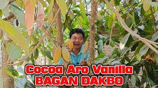 Cocoa Aro Vanilla Bagan Dakbo