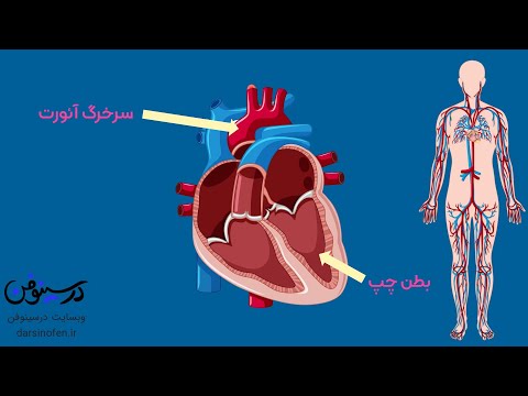 تصویری: کوچکترین لوله های سیستم گردش خون کجا نامیده می شوند؟