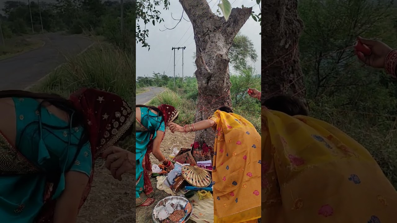 Vat savitri puja/part-03/