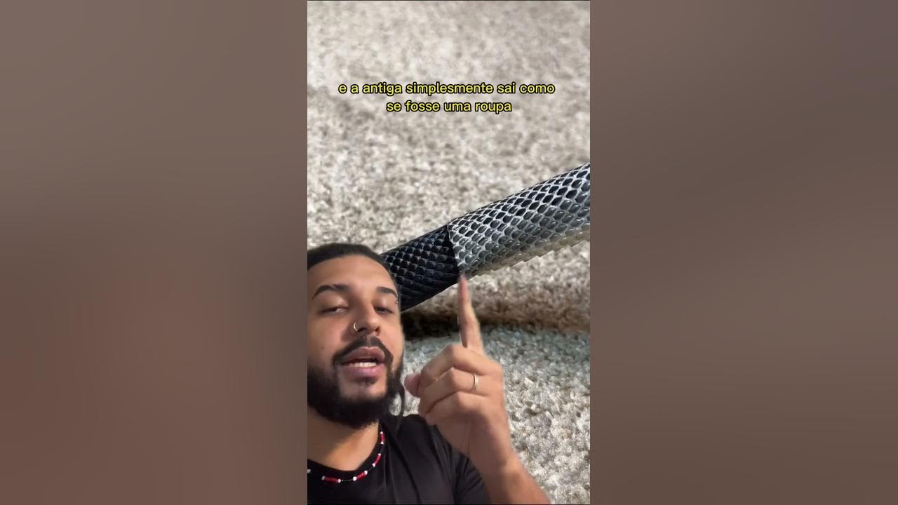 Por que as COBRAS trocam de PELE? Biomesquita YouTube Por que as COBRAS trocam de PELE? Biomesquita YouTube