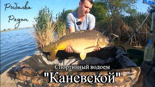 Ловля карпа летом. Спортивный водоем &quot;Каневской&quot;. Наконец-то отвел душу после зимовки!