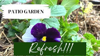 Patio Garden Refresh| Container Gardening by Auyanna Plants 177 views 3 months ago 18 minutes