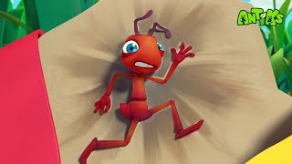 Antiks Silly Bums Funny Cartoons For Children