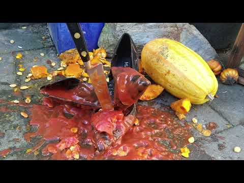Halloween:  Bloody heels