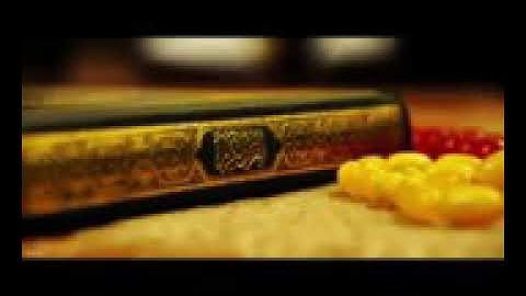 الشيخ حسام عادل /سورة القلم