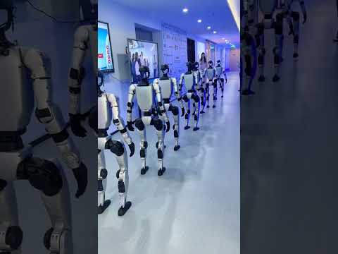 عالم الروبوت في الصين         روبوت  