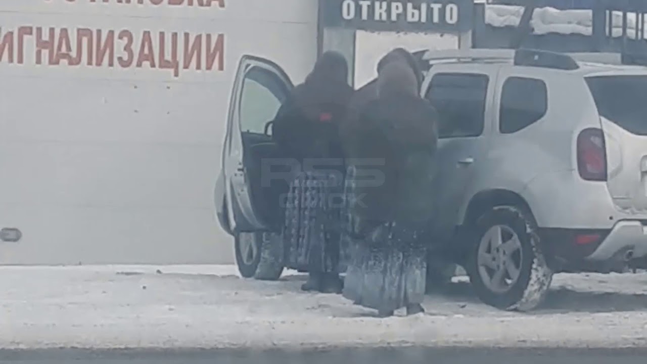 Почему оводы облепили машину Почему оводы облепили машину