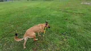 Reya Outside Recall:escape conditioning