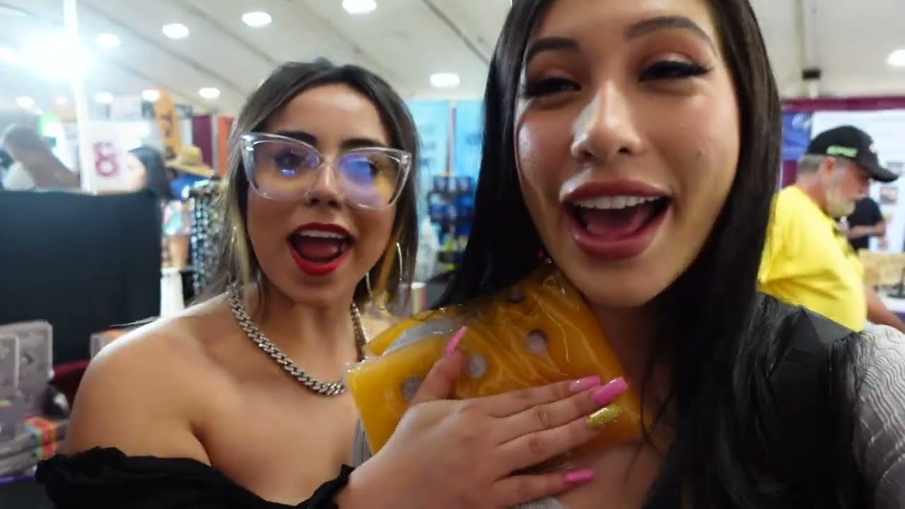 WE WENT TO THE FAIR VLOG