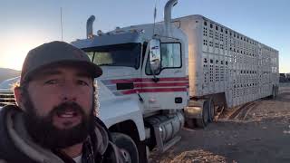 I’m NOT a Trucker | BUT…………