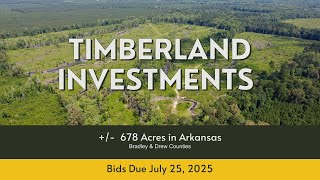 Timberland Investments Bid