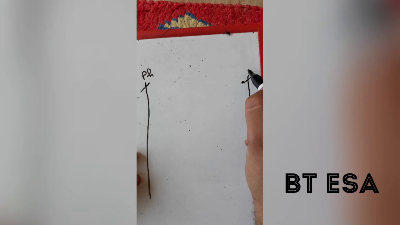 Démarrage rotorique 3 temps 1 sens de rotation