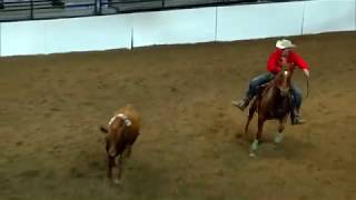 2017 Calgary Stampede Open Class Team Cattle Penning Champions