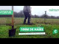 Yes we plant  la rserve naturelle sbastopol de chteletbouffioulx