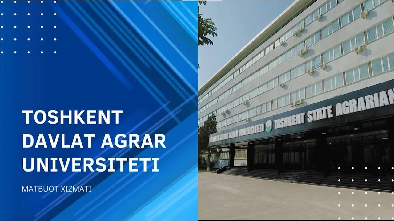 Mavzu: Uzluksiz tasodifiy miqdorlar va ularning sonli xarakteristikalari