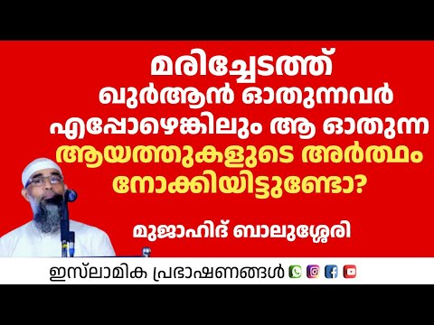 മരിച്ചേടത്ത് ഖുർആൻ ഓതുന്നവർ ഓതുന്ന ആയത്തുകളുടെ അർത്ഥം നോക്കിയിട്ടുണ്ടോ? | Mujahid Balusheri 