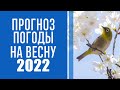 Какая погода ждет украинцев весной: народный синоптик сделал прогноз на каждый месяц