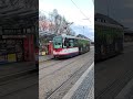 PŘÍJEZD TRAMVAJE Pragoimex VarioLF.E ev. č. 242 #dpmo #olomouc #mhd #tramvaje