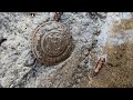 Эта находка ждала меня 76 лет! Коп по войне! Хабар есть! ww2 metal detecting!