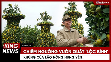 Chiêm ngưỡng vườn quất 