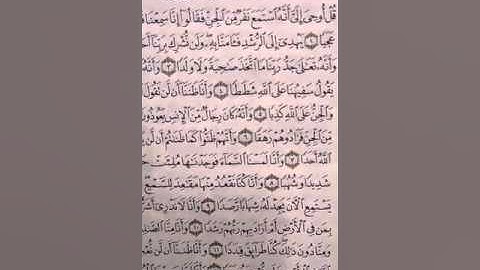 الشيخ ربيع حافظ ما تيسر من سورة الجن