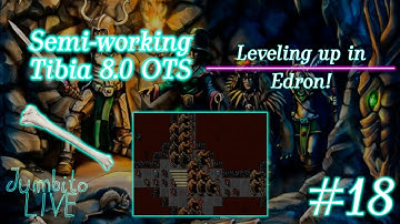 Leveling up in Edron! - Semi-working Tibia 8.0 OTS #18