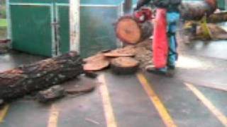 The Chainsaw Guy with his 272 XP Chainsaw