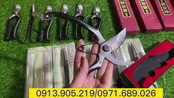 Review kéo cắt tỉa cành thép đúc nguyên khối sắc khỏe ,bền hàng loại 1 giá rẻ