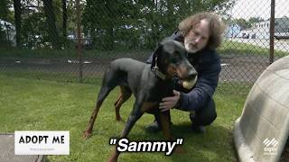 Hazleton Animal Shelter's "Adopt Me" - May 9, 2026