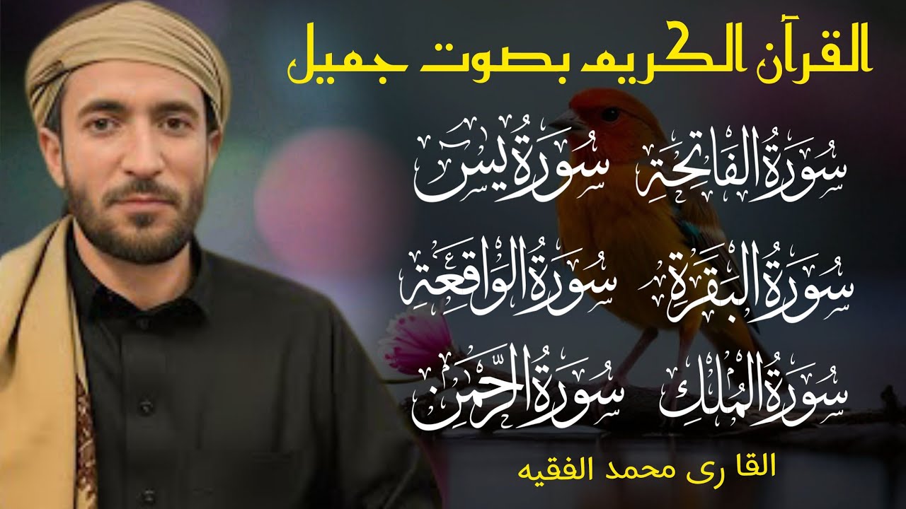 Beautiful Surah Al Baqra |  سورة البقرة  | sheikh mohammad faqih | heart touching recitation