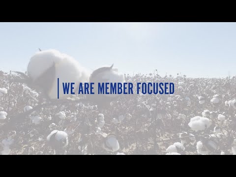 From the Eyes of PCCA: We Are Member Focused