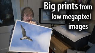 Making Big Prints from low megapixel images  resizing and sharpening (A2 from 6.6MP)