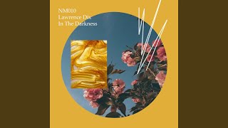In The Darkness (Original Mix)