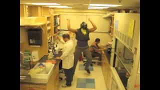 HARLEM SHAKE- Lab Edition!
