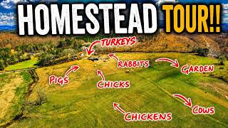 Our Homestead Six Months In: What Actually Worked