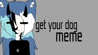 Get your dog meme -