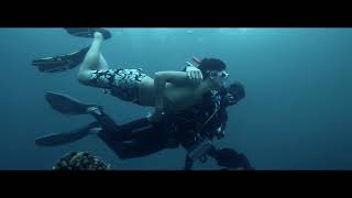Creator Retreat | Trailer