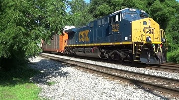 2 Shiny Rebuilds Pull M216