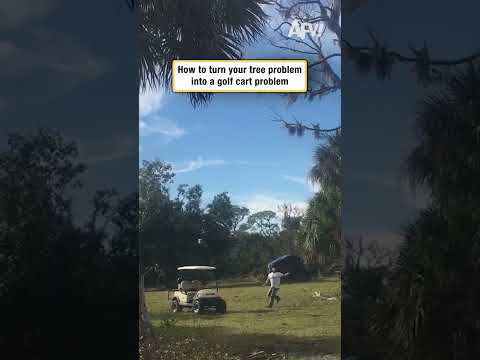 How to turn your tree problem into a golf cart problem