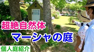 【このあとカーメン君がやられます】夫婦二人三脚の関係がすごい庭を造りました　　　　【個人庭】【マーシャの庭】【園芸】【ガーデニング】【初心者】